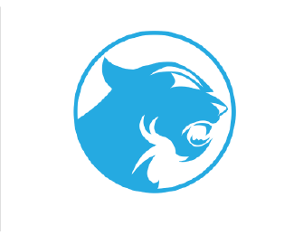 Carolina Panthers Logo Concept