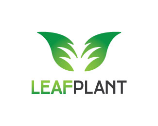 Leaf Plant