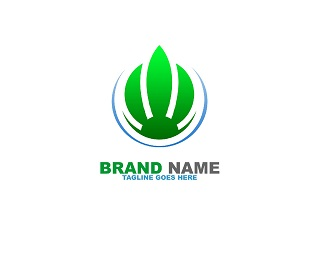 Green Fire Logo Template