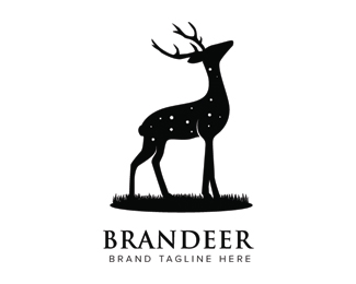 Brandeer