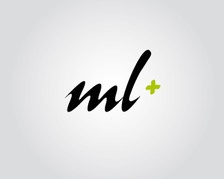 ML PLUS accountant