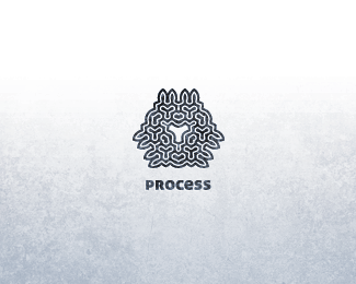 process