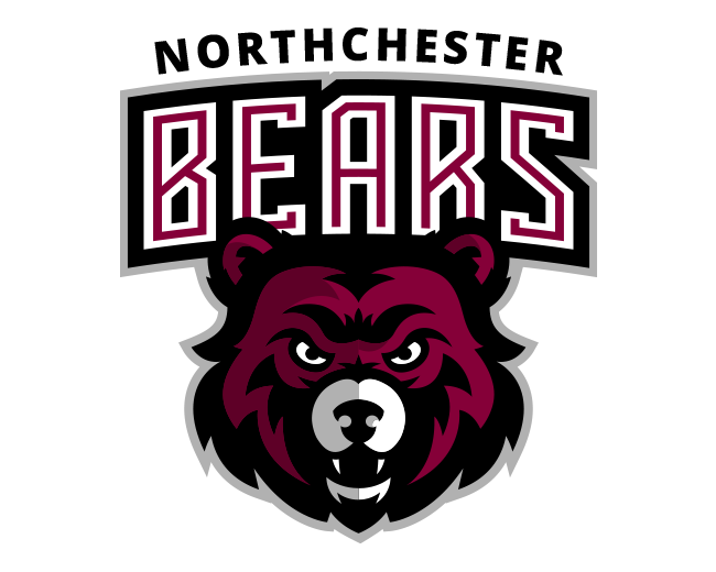 Bears Logo