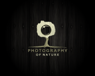 Photography of nature