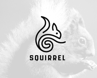 Squirrel Logo