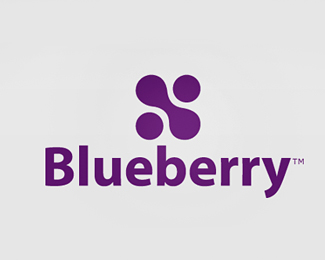 Blueberry Logo