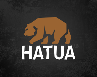 HATUA