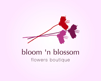 bloom 'n blossom