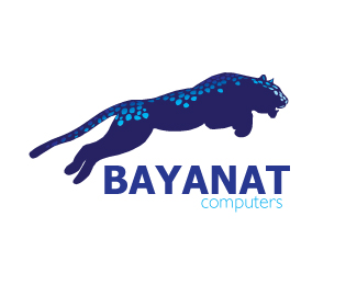 Update :BAYANAT computers