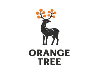 Orange Tree