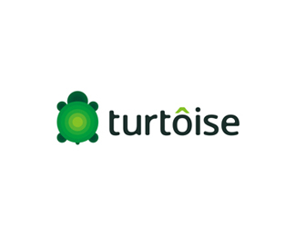 Turtoise