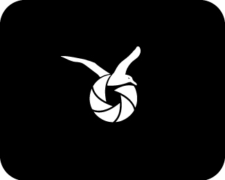 Albatross Photography Logo Design