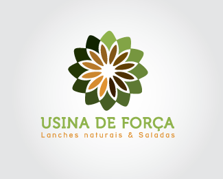 Usina de Força