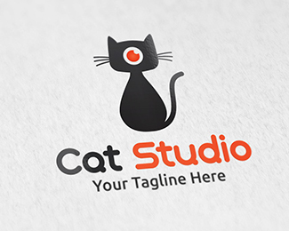 Cat Studio