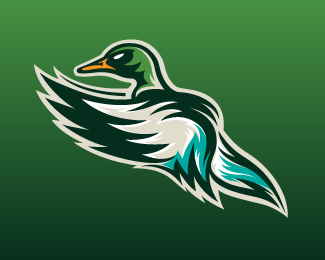 Quad City Mallards 3