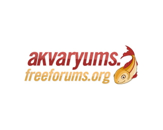 akvaryums