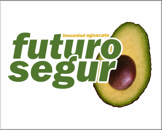 Futuro Seguro