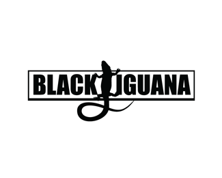 Black Iguana