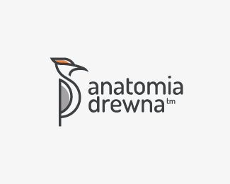 Anatomia Drewna