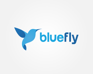 Blue Fly