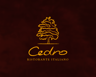 Cedro