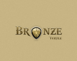 Bronze Turtle