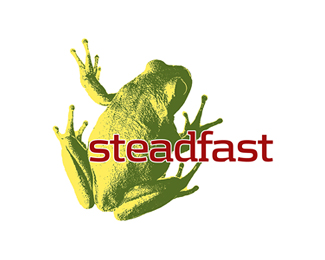 Steadfast athletic gear