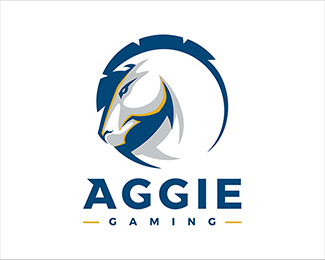 Aggie Gaming