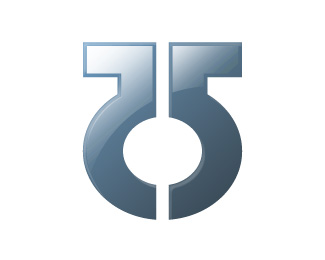 T5