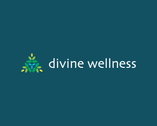 divine wellness