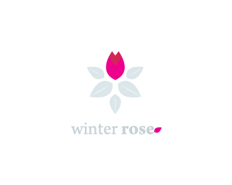 Winter Rose