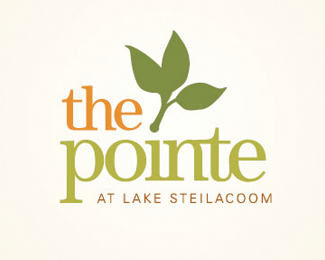 The Pointe