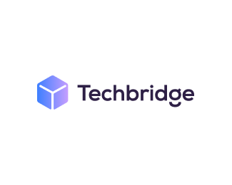 Techbridge