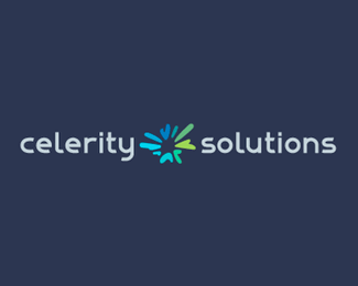 celerity solutions