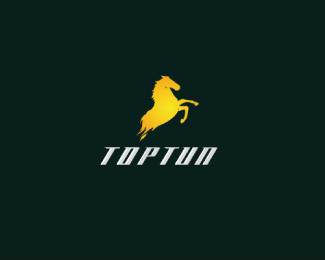 TopTun Cars