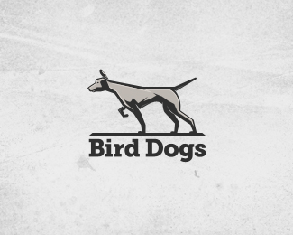 Bird Dogs