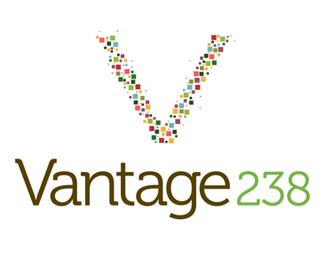 Vantage 238