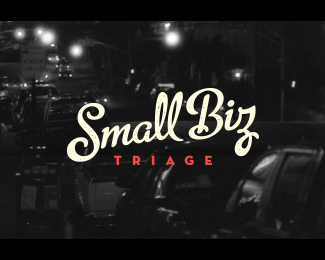 Small Biz Triage