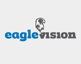 Eagle Vision