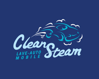 Clean Steam