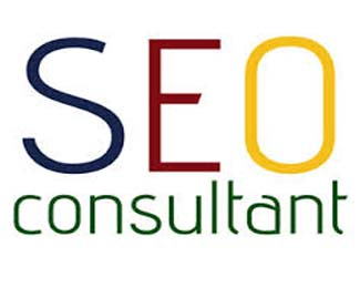 seo consultant