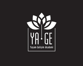 ya-ge akademi