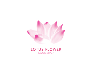 LOTUS flower