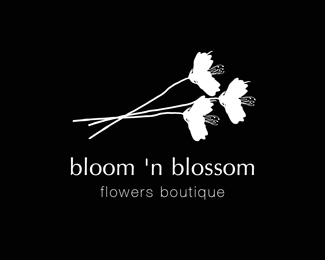 bloom 'n blossom