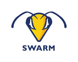 SWARM Face Concept