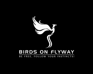 Birds On Flyway