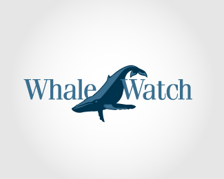 Whale Watch