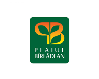 Plaiul Birladean