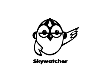 SKYWATCHER