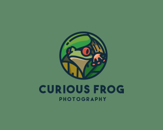 Curious Frog